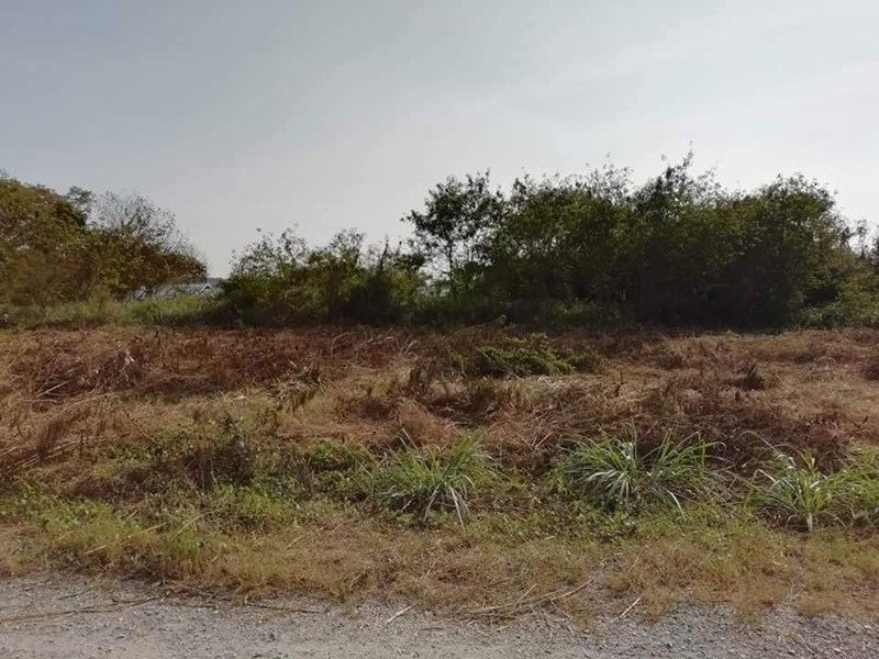 368 SQ.M Land For Sale - Bangsaray 