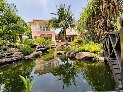 fishpond1