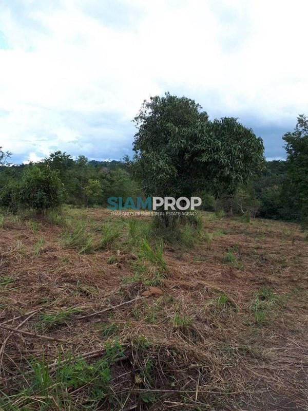 Land for sale in Khao Yai