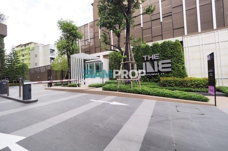 Condo for rent The Line Sukhumvit 71