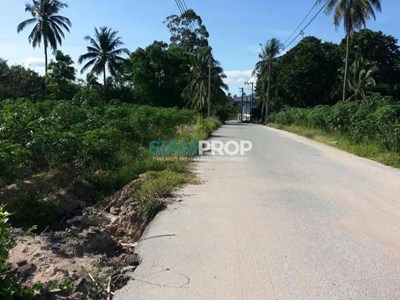 Land for sale in Khao Khanong Ha, coming with a village project, a hilly land, no need to fill the land.