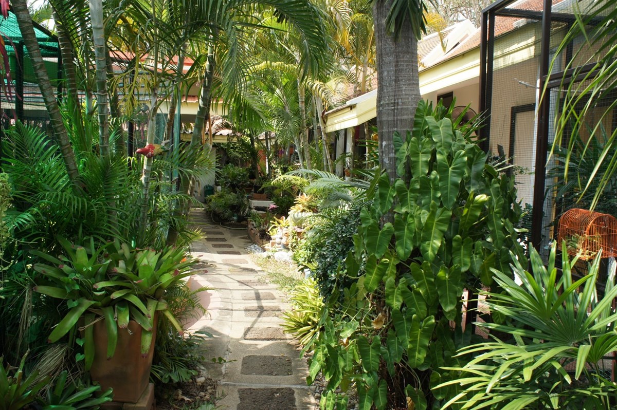 Resort in Bang Saray 190 m. from the beach.   