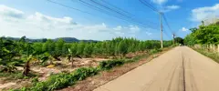 Large and attractive land near road 3145 and the beach in Chakphong, Klaeng, Rayong
