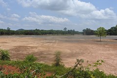 28 Rai land near Coca-Cola Beach and municipal office
