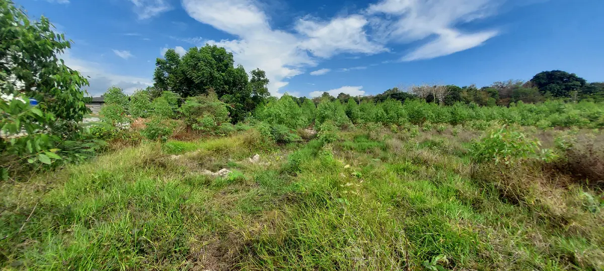 Large and attractive land near road 3145 and the beach in Chakphong, Klaeng Rayong