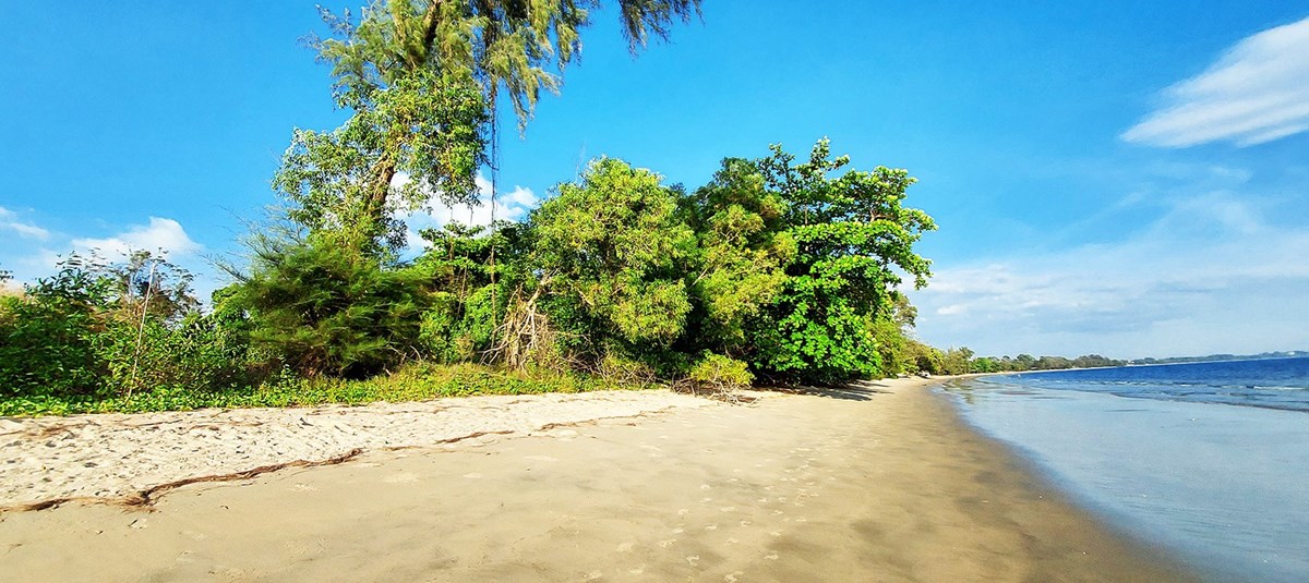 Beach land for sale at Sai Kaew Beach near Mae Phim, Rayong