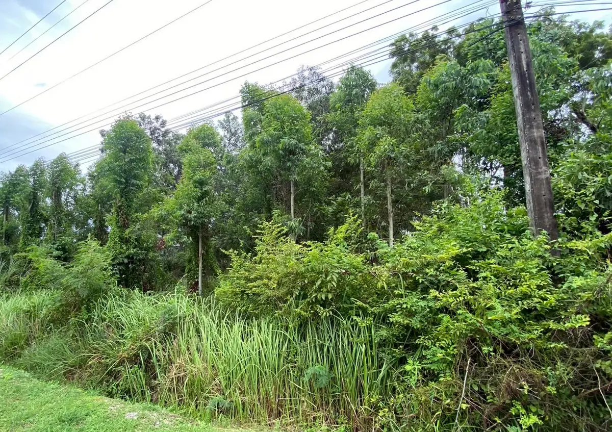 Land in Mae Phim