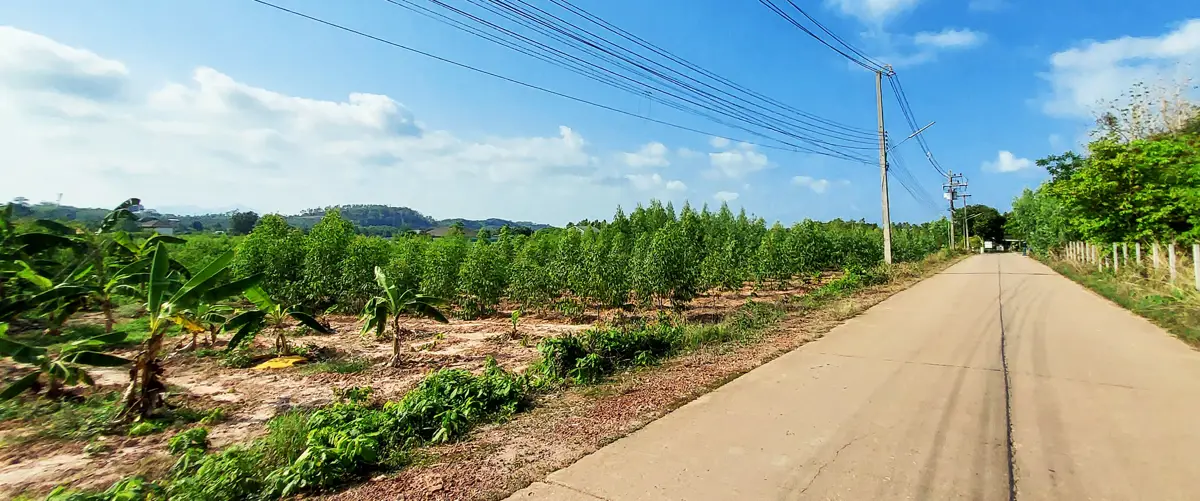 Large and attractive land near road 3145 and the beach in Chakphong, Klaeng Rayong
