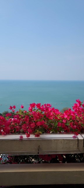 Sea view  from the balcony