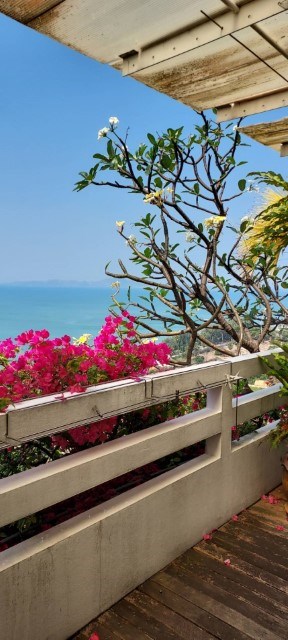 Sea view  from the balcony