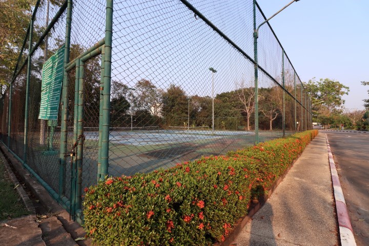 Tennis court