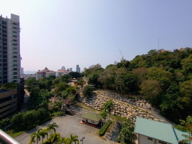 Buddha view