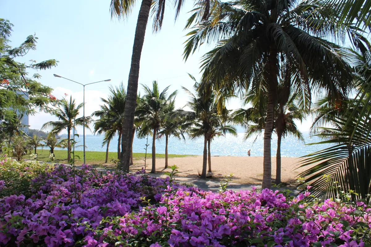 Beachfront Condo