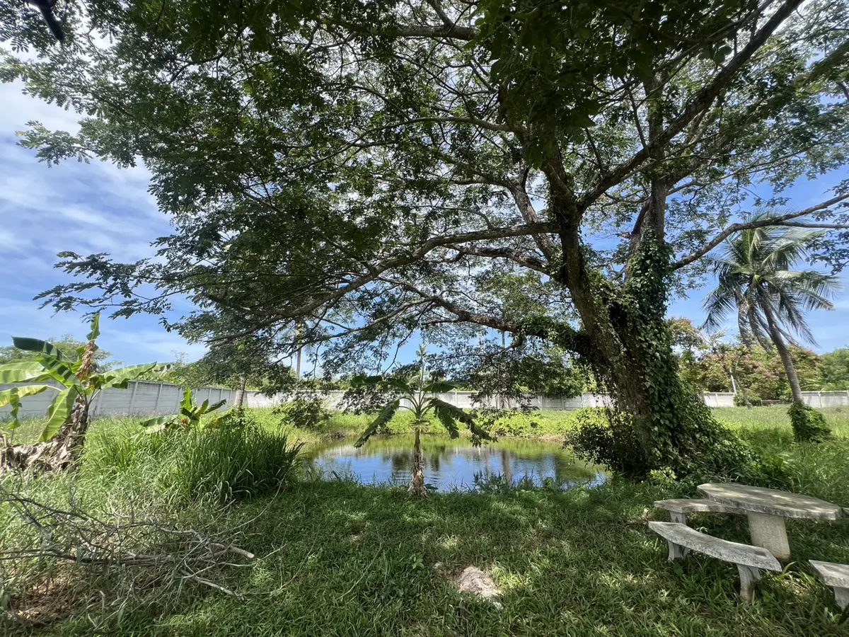 Land plot for sale