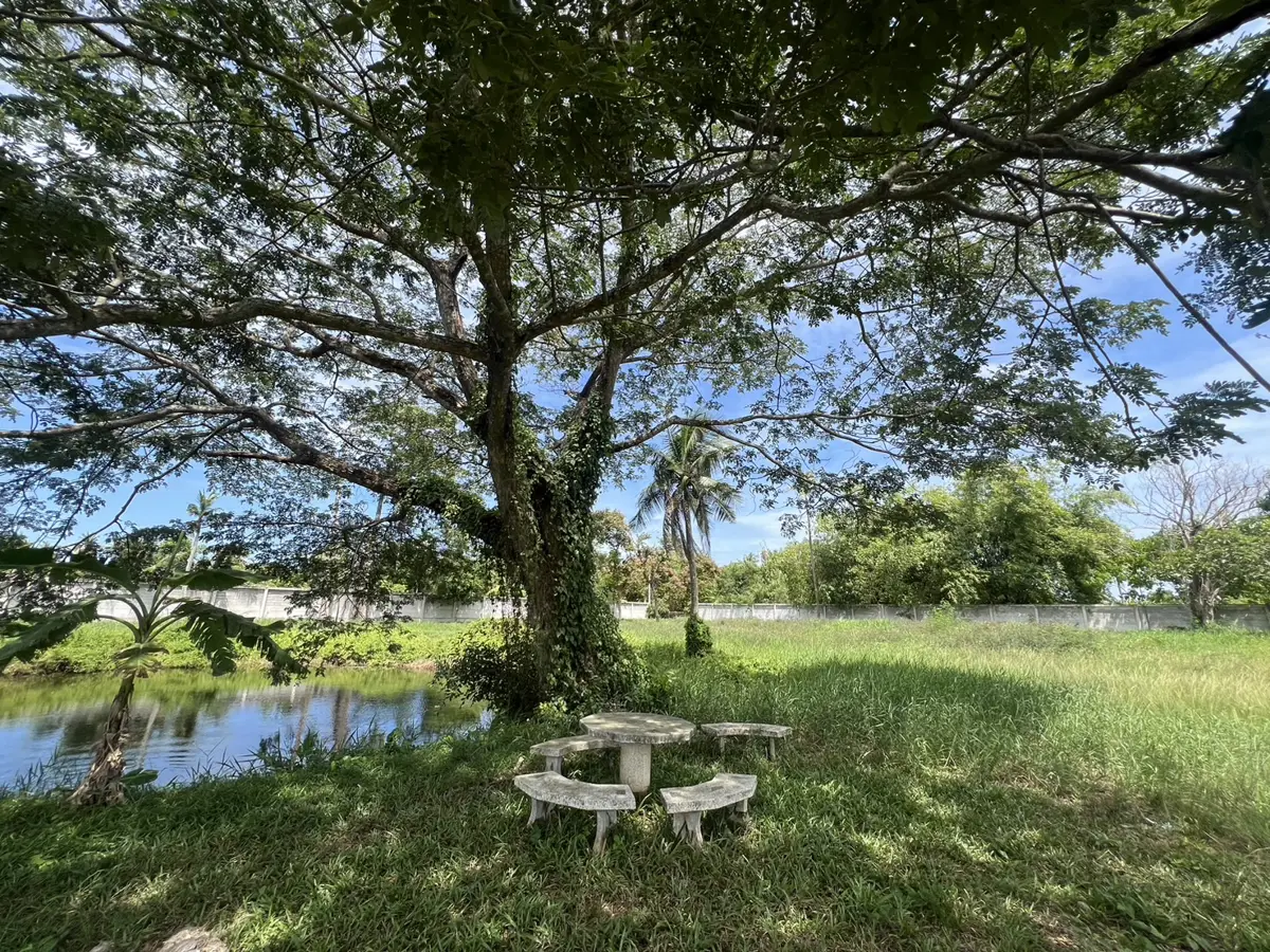 Land plot for sale