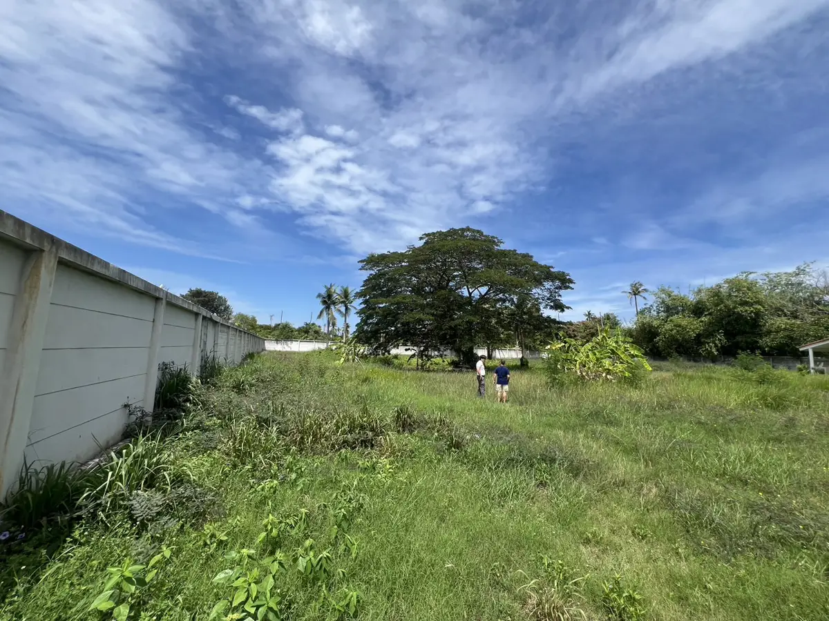 Land plot for sale