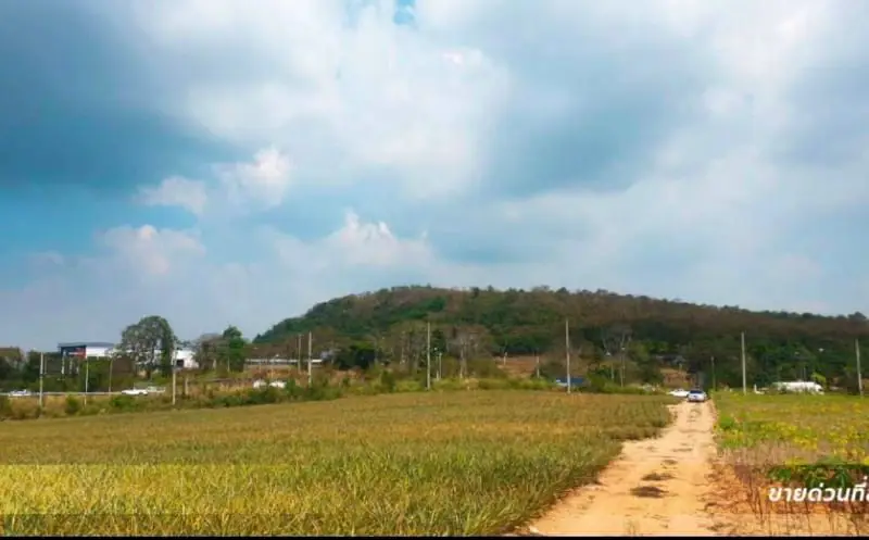 Big land for sale at Motorway 36 Outskirts Pattaya