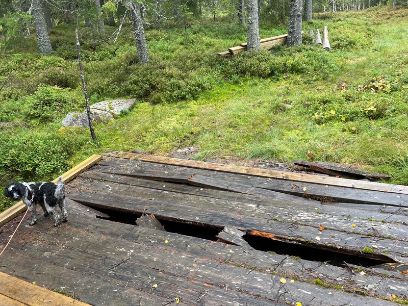 Velkommen til ny sesong! Første dugnad 20. september.