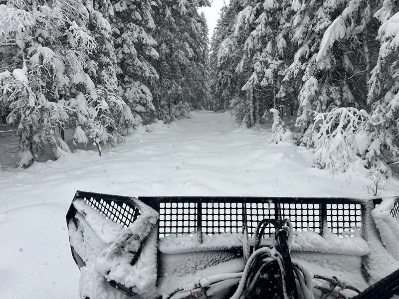 Spor for dagen 17. januar 2026