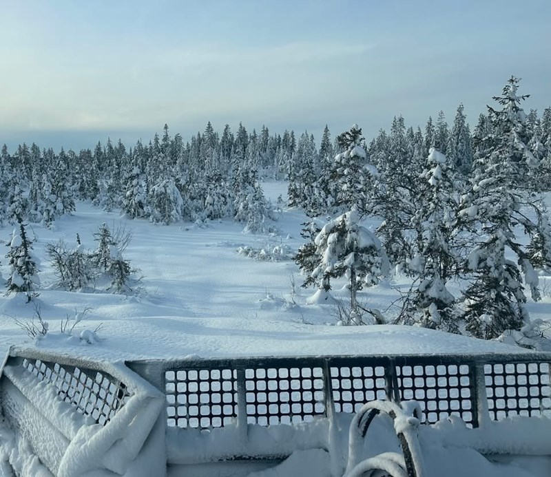 Spor for dagen 21. januar 2026