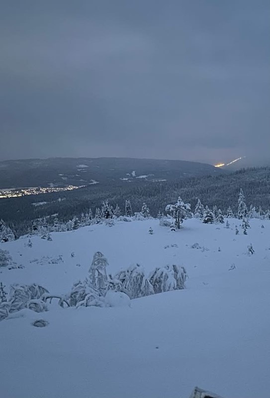 Spor for dagen 30. januar 2026