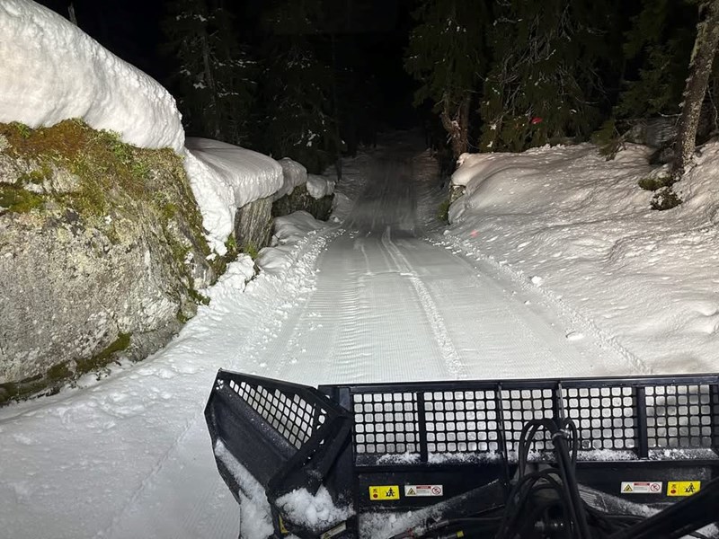 Spor for dagen 17. mars 2026