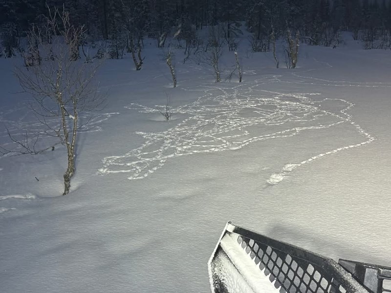 Spor for dagen 28. mars 2026