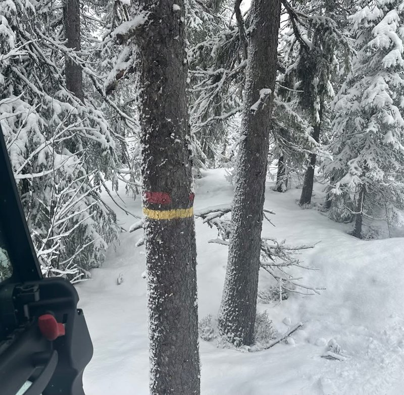 Spor for dagen 30. mars 2026