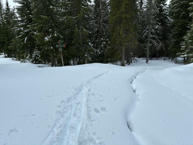 Spor for dagen 6. april 2026