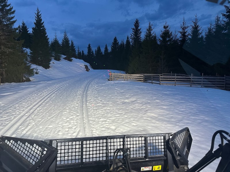 Spor for dagen 14. mars 2026