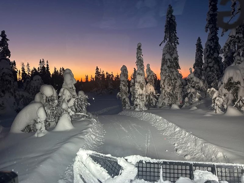 Spor for dagen 17. april 2026