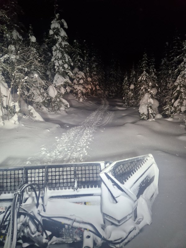 Spor for dagen 2. februar 2026