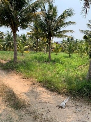 Land zu verkaufen in Hua Hin