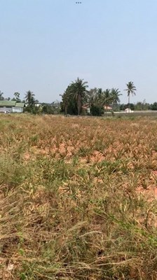 Land zu verkaufen in der Nähe von Hua Hin Stadt