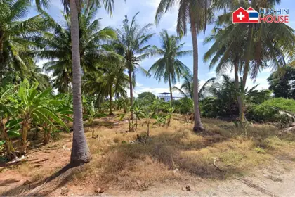 Land for Sale – Breathtaking Mountain Views in Khao Tao! 