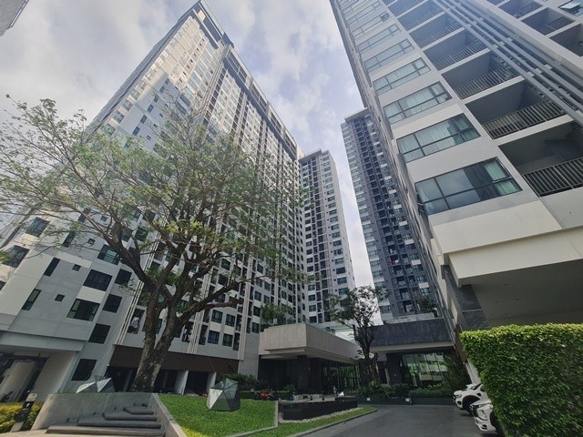 Condo for rent Pattaya The Base