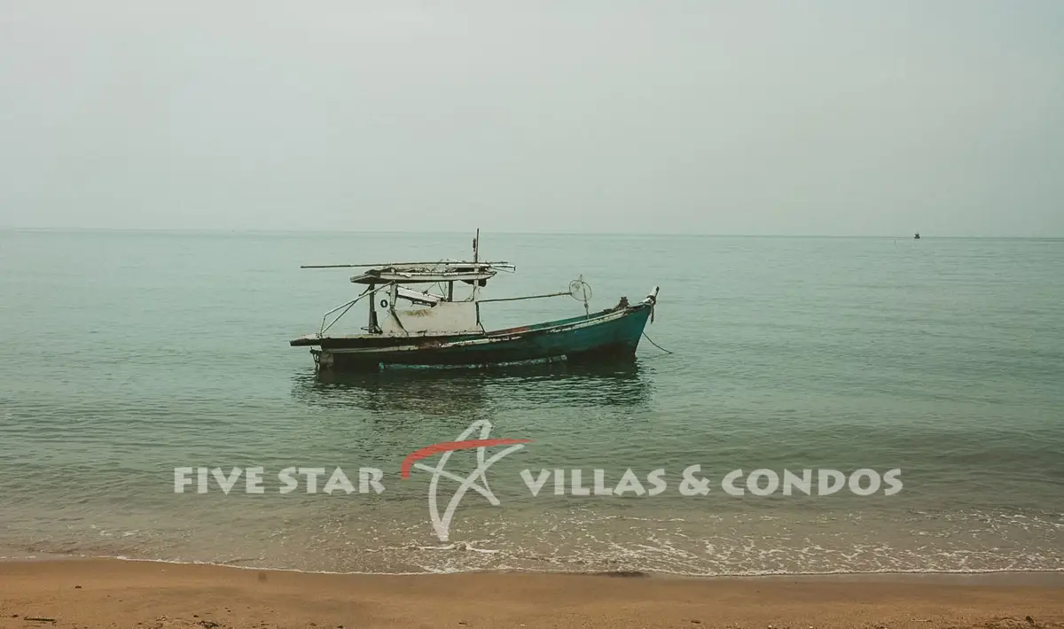 View Photo Gallery