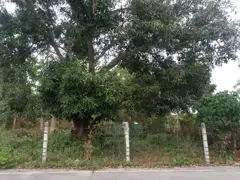 Land for Sale – 1 Rai