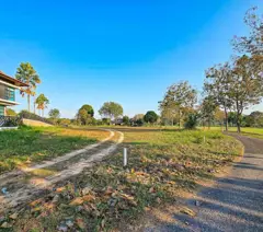 Land for sale 1 rai