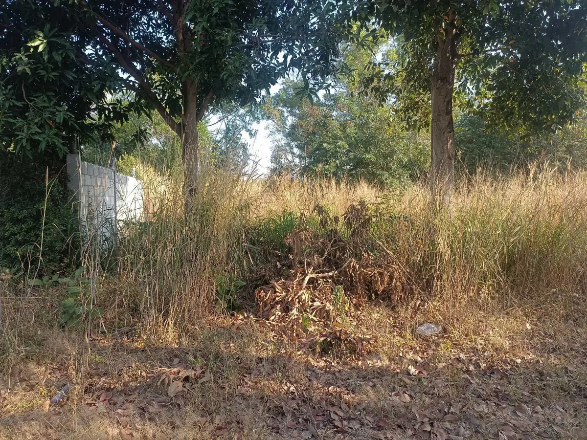 Land For Sale Near Ang - Chak Nok