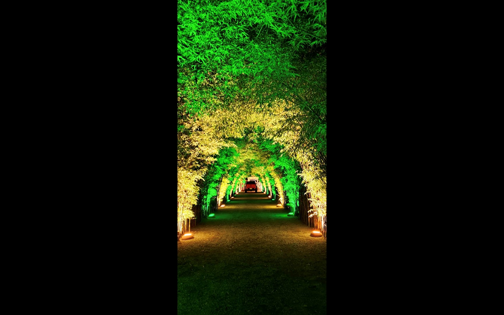 Bamboo Alley Entrance 