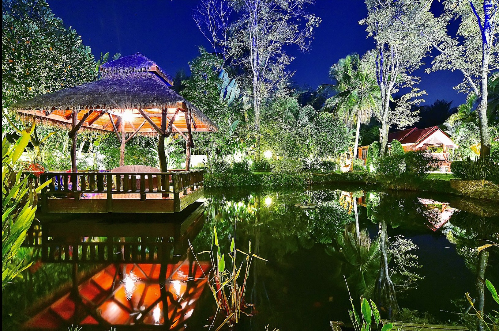 Pond 