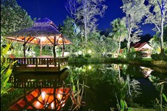 Pond 