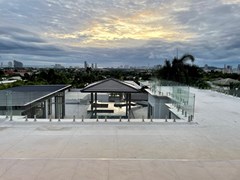 Upper Terrace