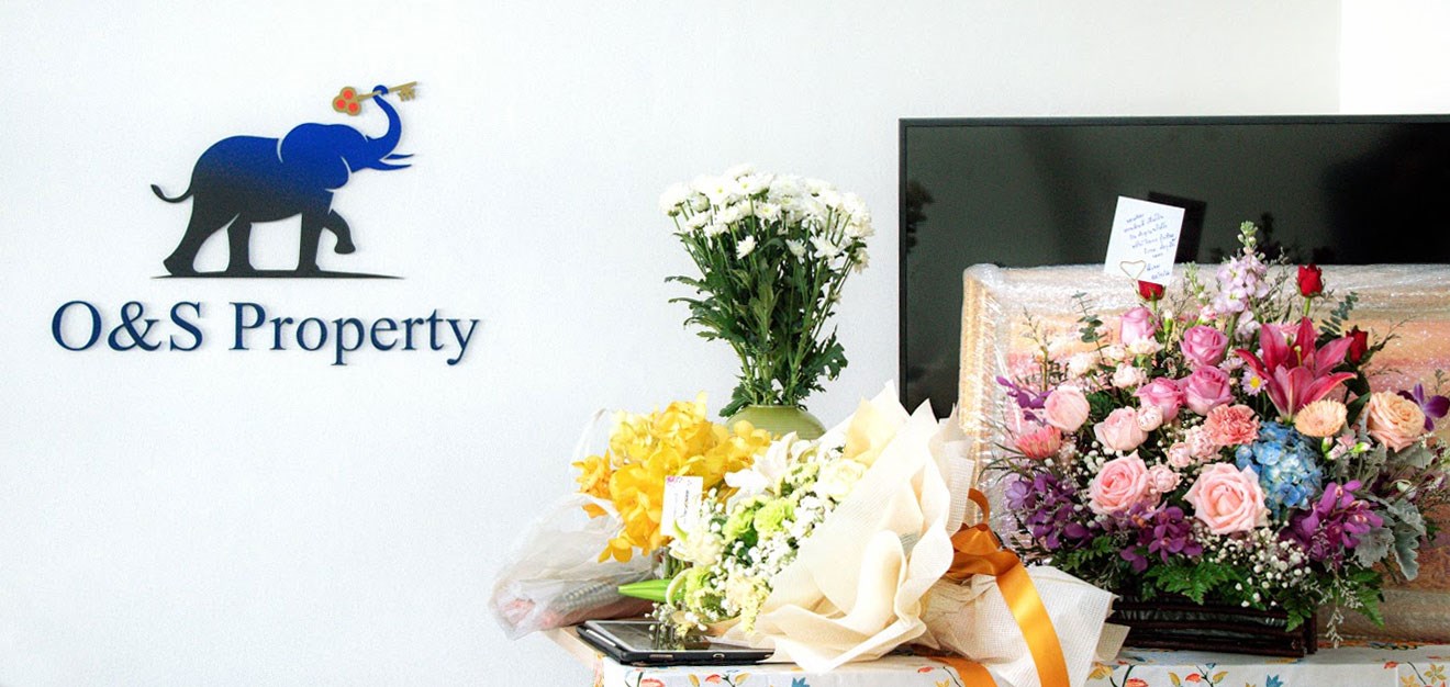 About O&S Lucky For Property