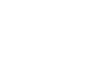 BIZpaye Corporate Trading