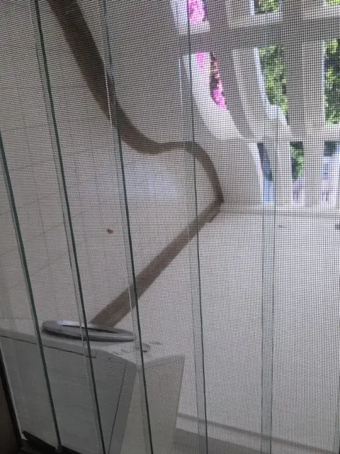 Royal cliff Garden Condominium 3 Bedroom for rent