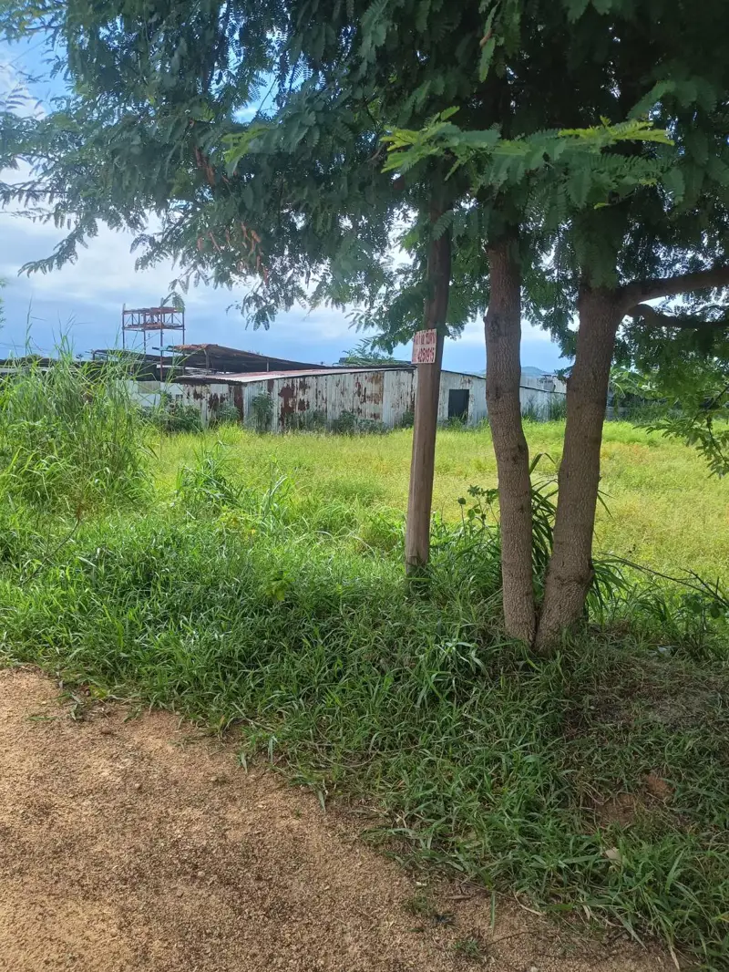 Land for sale in Hua Yai known for its rustic charm and is situated near popular  destination of Pattaya characterized by its natural landscapes, including lush greenery and agricultural land.