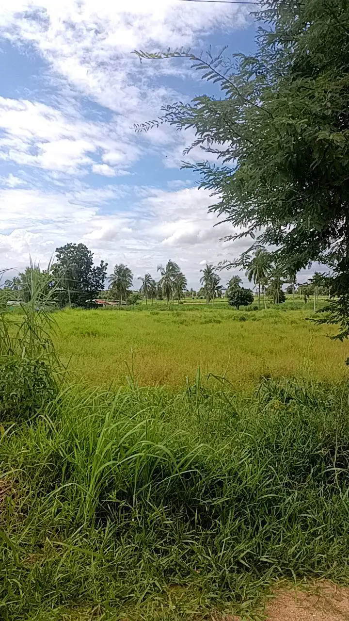 2 rai of land in Huai Yai for sale