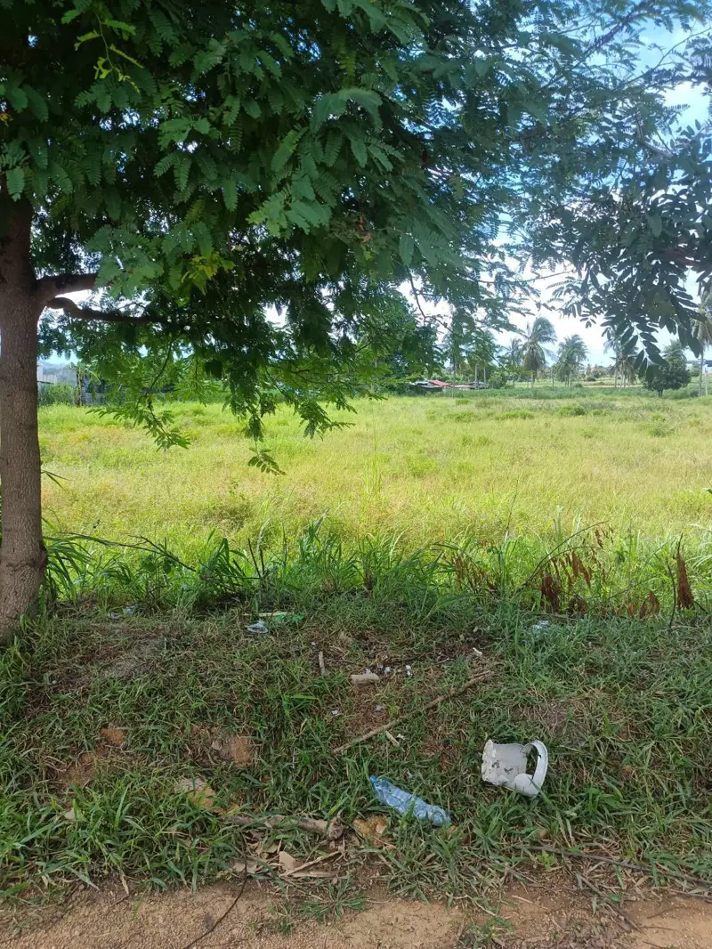 Land for sale in Hua Yai known for its rustic charm and is situated near popular  destination of Pattaya characterized by its natural landscapes, including lush greenery and agricultural land.